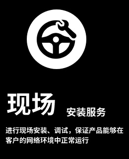 现场安装服务，进行现场安装、调试、保证产品能够在客户的网络环境中正常运行。
